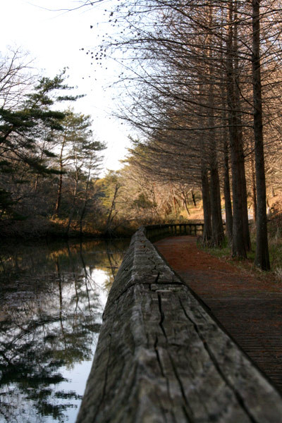 満濃池と公園
