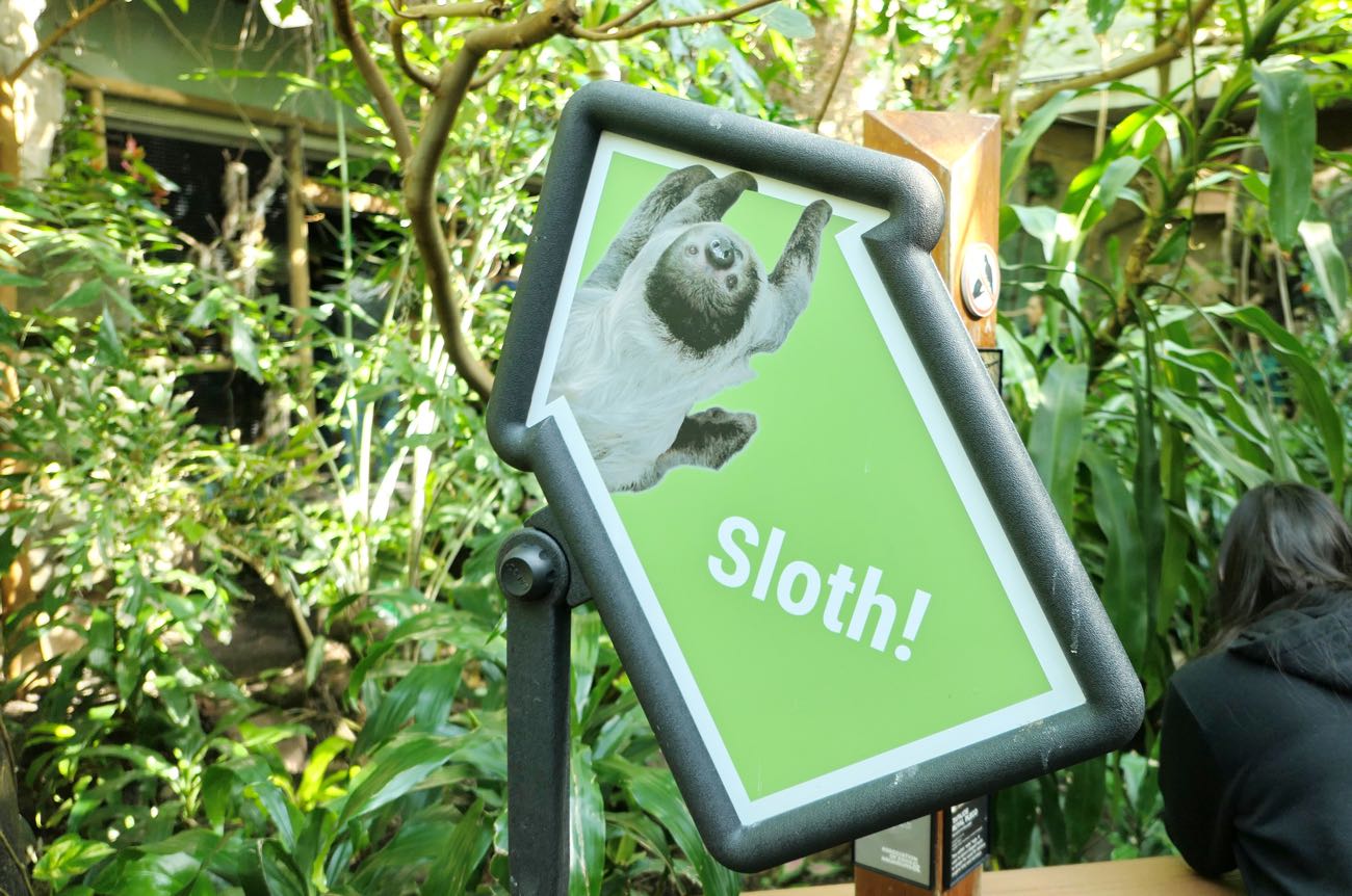 Sloth!（ナマケモノ）