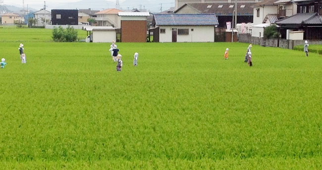 2014年9月20日の投稿