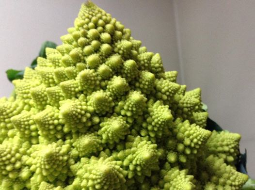 2015年1月13日の投稿