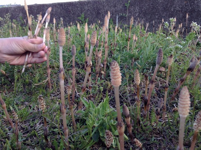 2015年3月24日の投稿