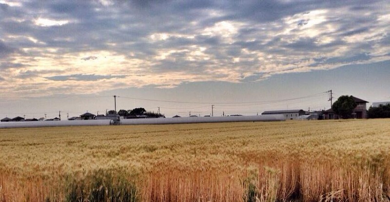 2015年5月9日の投稿