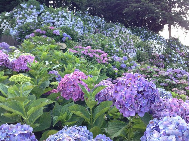 2015年6月21日の投稿