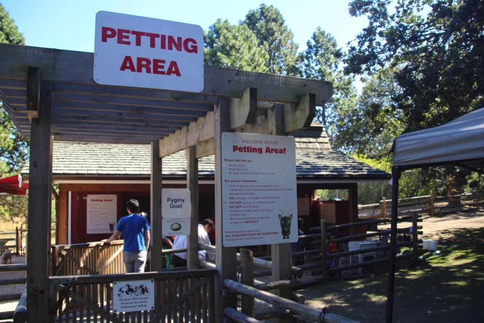 Petting Area