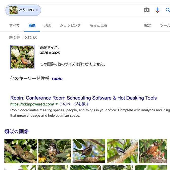 この鳥の名前がわからない Google画像検索なら画像から検索できるのを知っていますか ヨッセンス