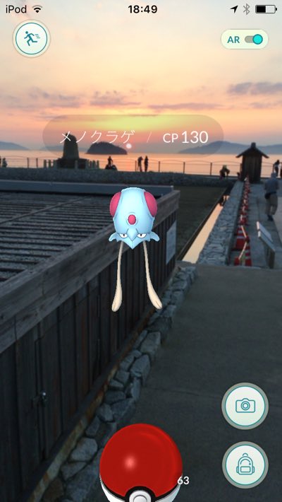美しい景色とポケモン