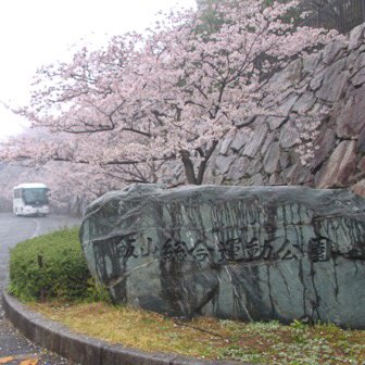 香川 飯山総合運動公園 の花見は桜と桃を同時に楽しめる ヨッセンス